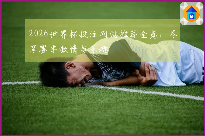 2026世界杯投注网站推荐全览，尽享赛季激情与乐趣