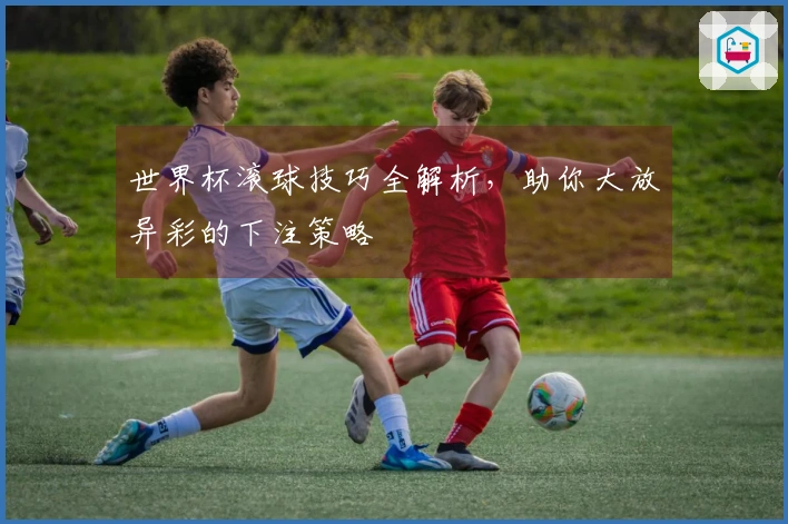 世界杯滚球技巧全解析，助你大放异彩的下注策略