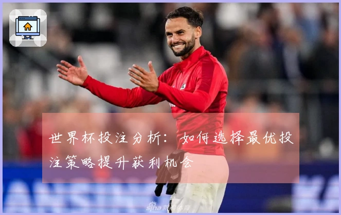 世界杯投注分析：如何选择最优投注策略提升获利机会