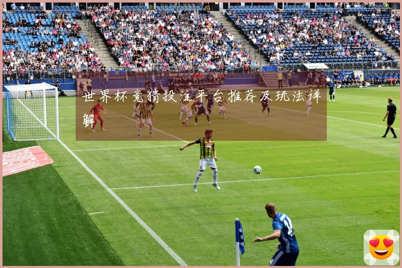 世界杯竞猜投注平台推荐及玩法详解