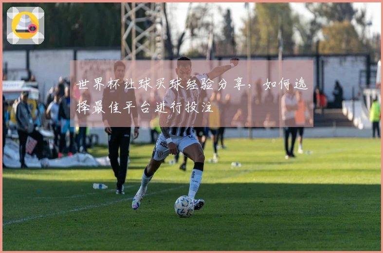 世界杯让球买球经验分享，如何选择最佳平台进行投注