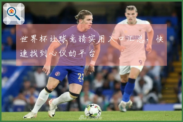 世界杯让球竞猜实用入口汇总，快速找到心仪的平台