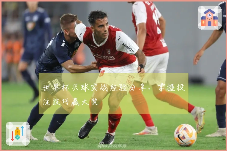 世界杯买球实战经验分享，掌握投注技巧赢大奖